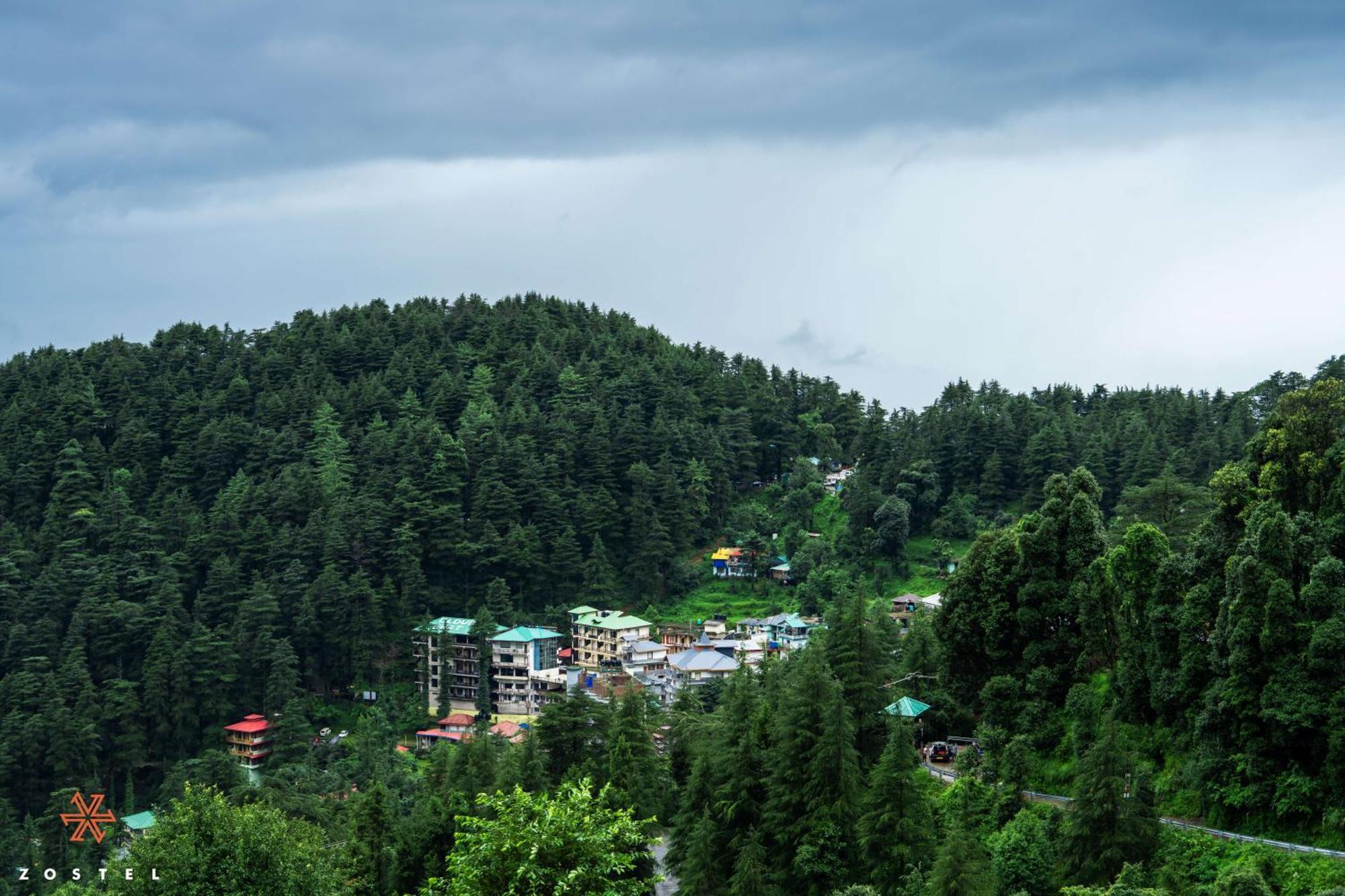 Zostel Dharamkot Hostel McLeod Ganj Bagian luar foto